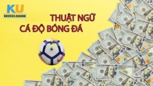 Lý do người ta sử dụng thuật ngữ cá độ bóng đá