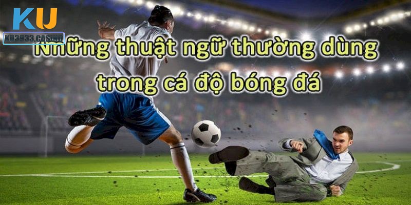 Những thuật ngữ được sử dụng cho các kèo chính