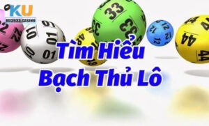 Tìm hiểu về cách chơi bạch thủ lô miền Bắc